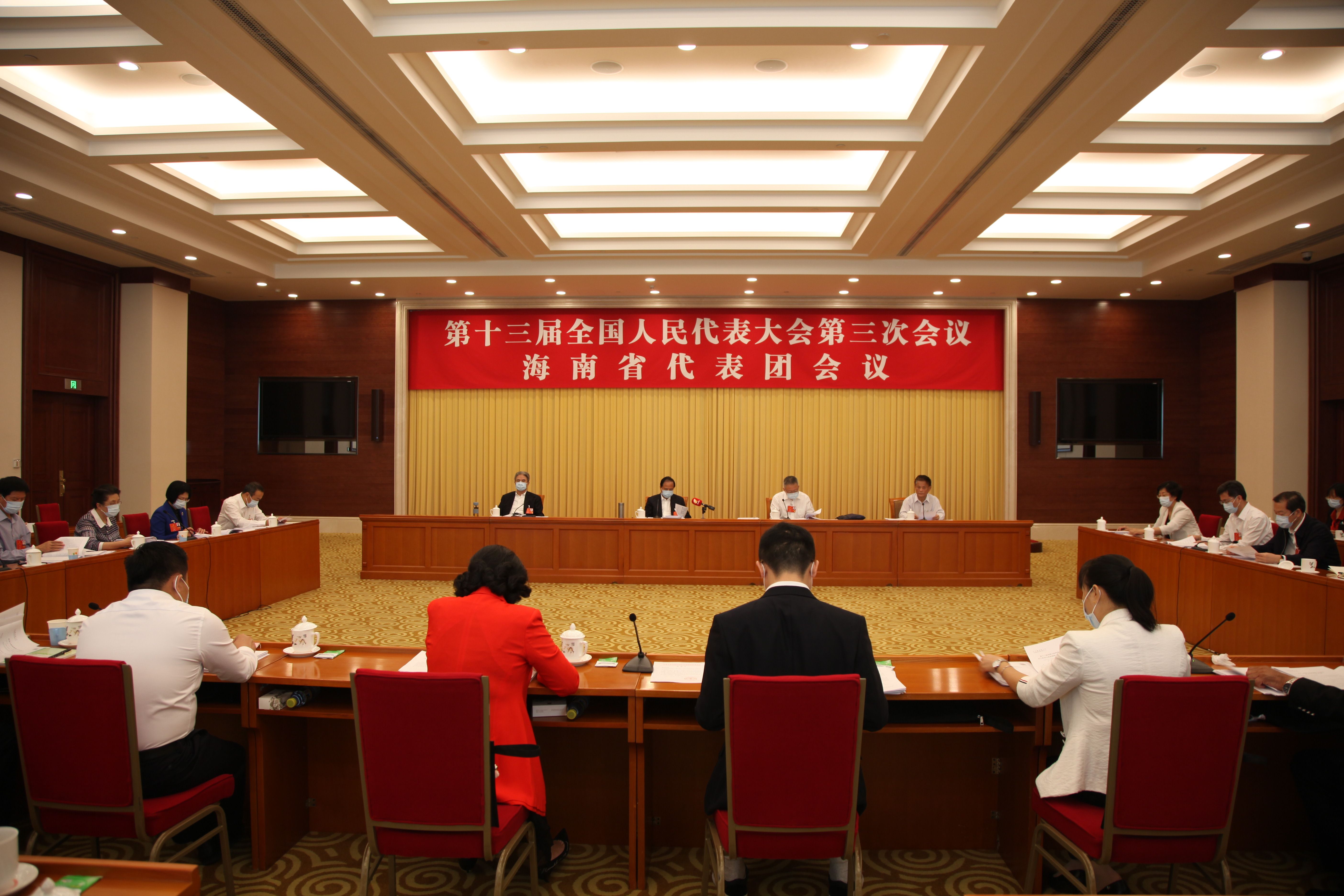 5月28日上午，海南代表团审议通过各项决议 张旭图 (2)